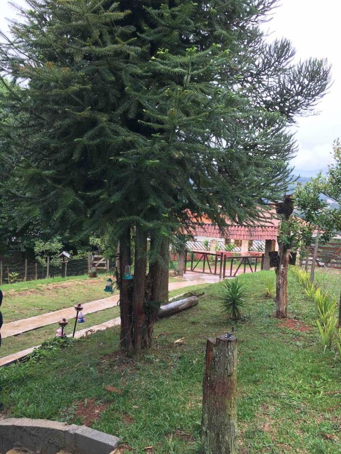 Casa De Campo Em Monte Verde , Linda Vista Para Montanhas Bagian luar foto